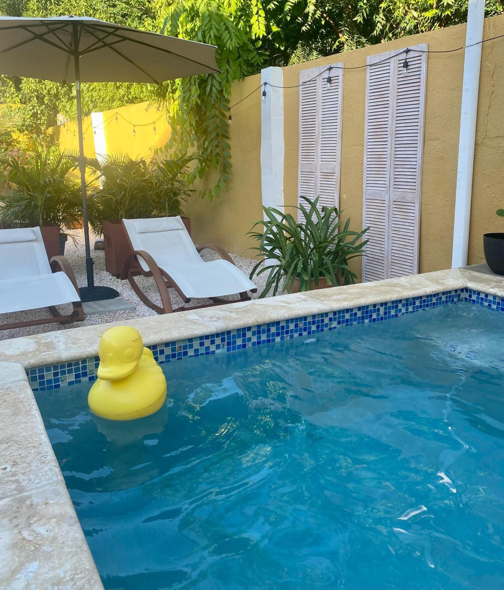 Historic Building The Palm Backyard Studio-Apartment Willemstad, Curacao Feel Home Away From Home Eksteriør bilde